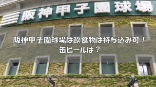 一覧 プロ野球１２球団本拠地球場 アクセスまとめ 野球観戦の教科書