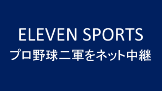 実は面白い プロ野球二軍観戦の楽しみ方 野球観戦の教科書