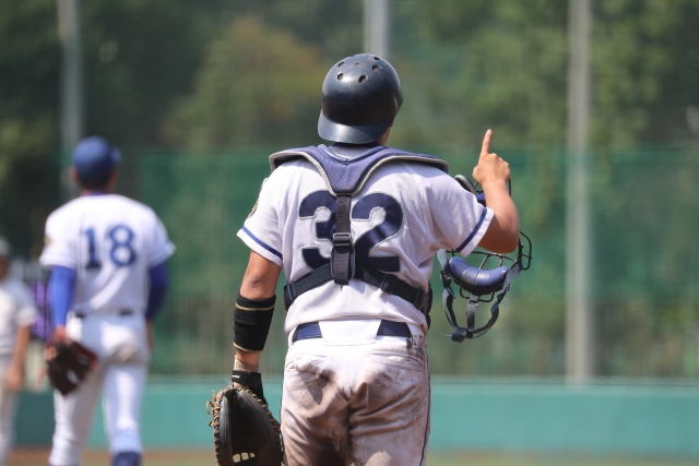 プロ野球のコリジョンルールとは ルール 目的を解説 野球観戦の教科書