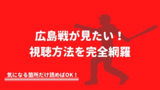 野球観戦の教科書