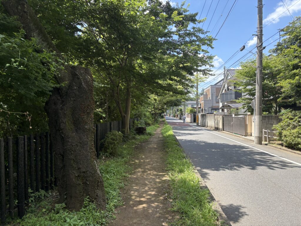 玉川上水沿い