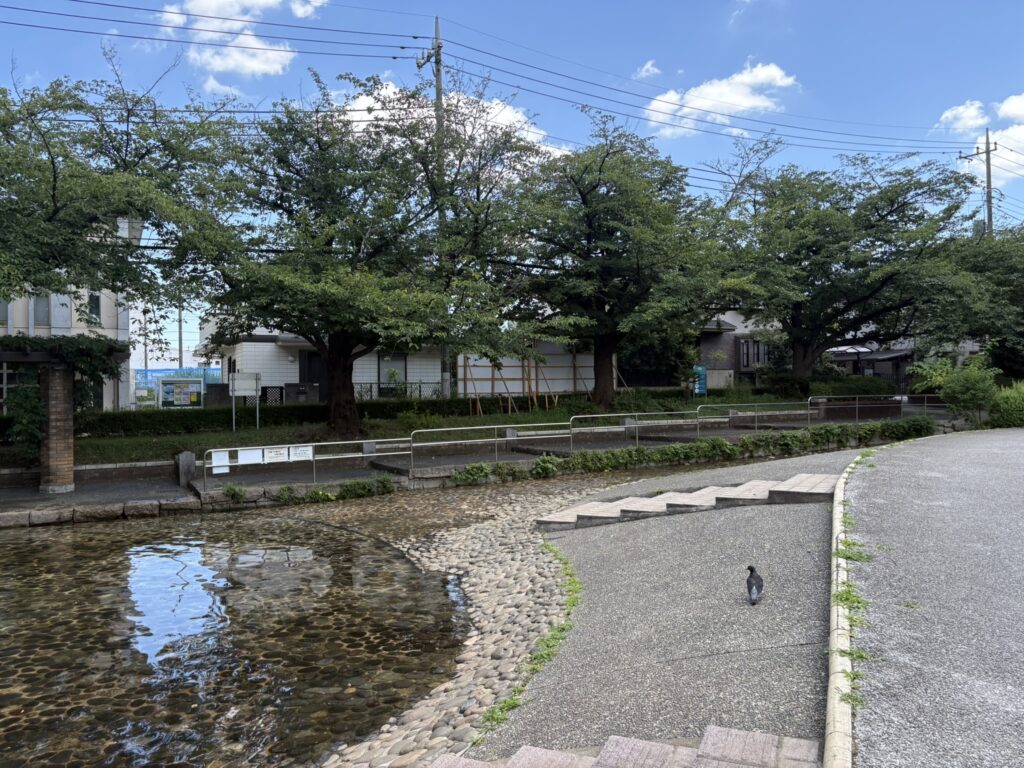 関前公園のじゃぶじゃぶ池