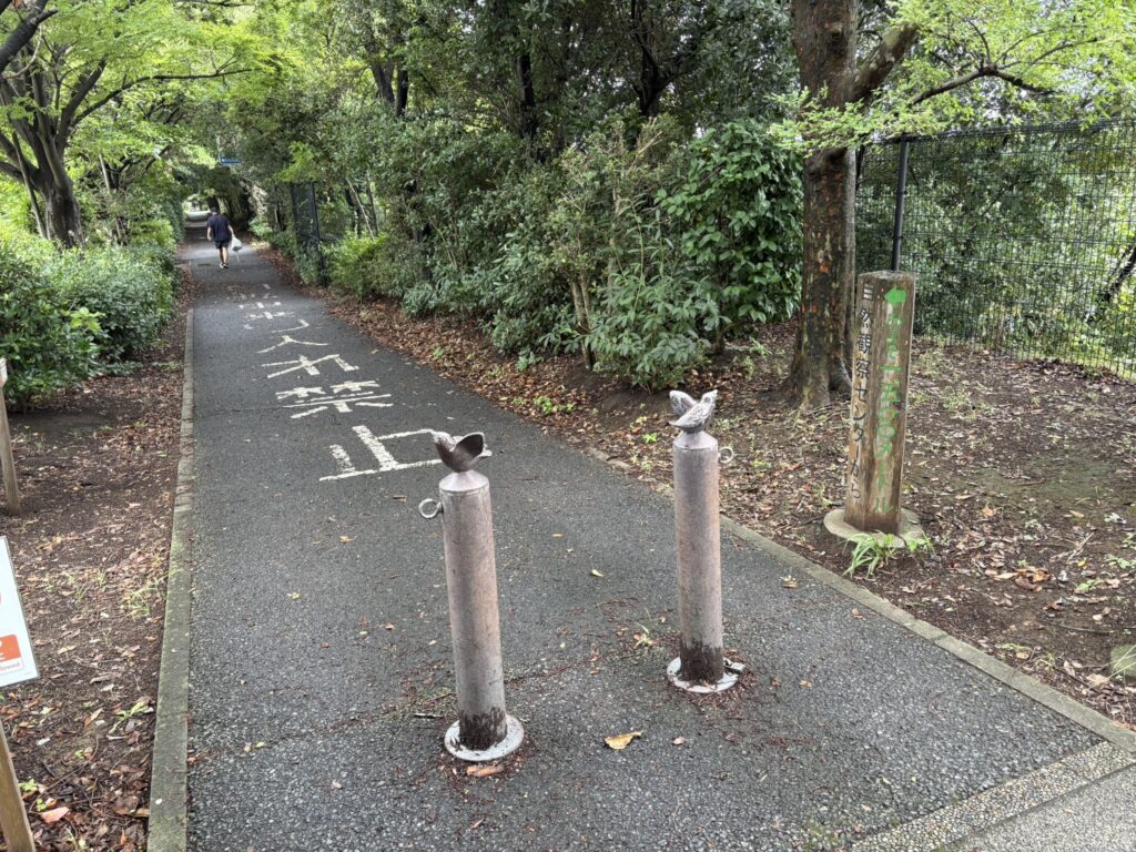 谷津干潟の遊歩道