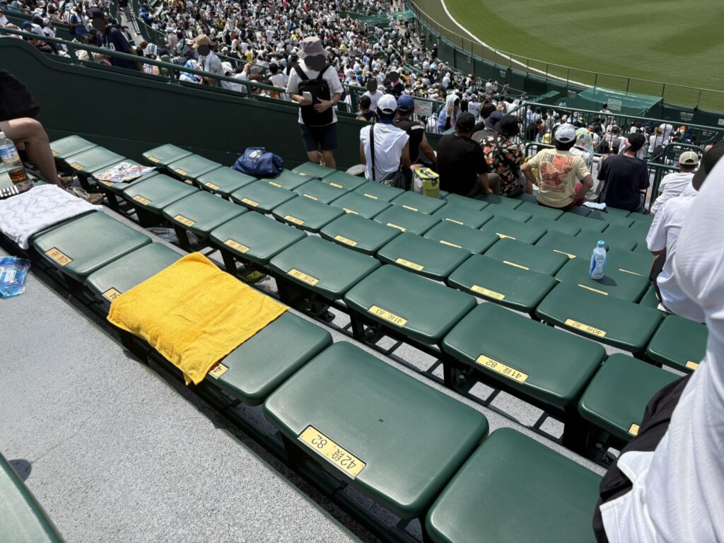 甲子園の椅子