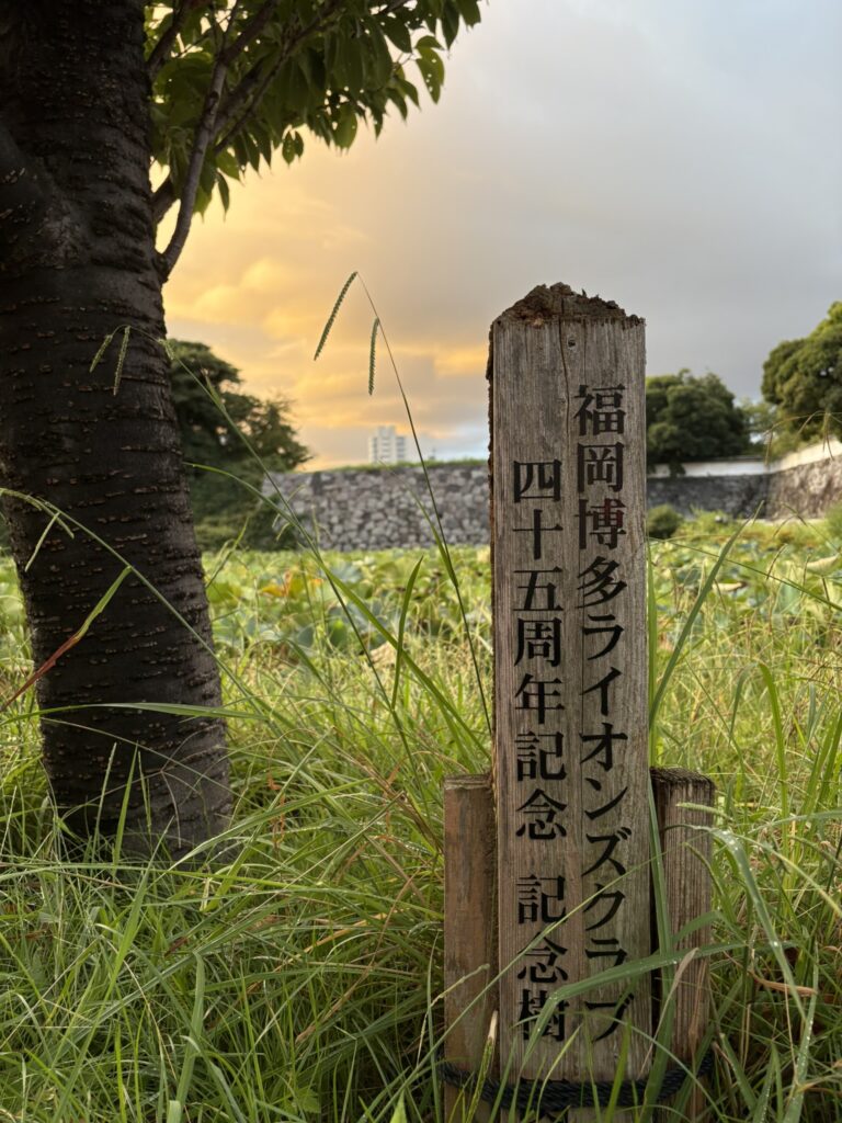 ライオンズ記念樹