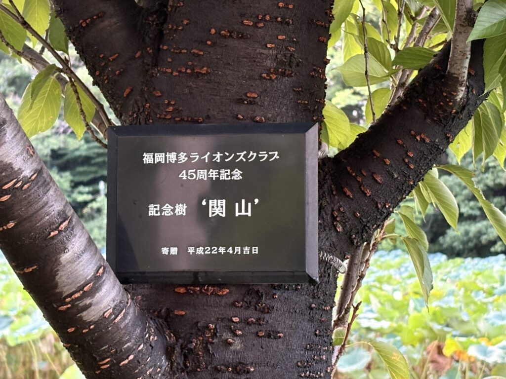 ライオンズ記念樹