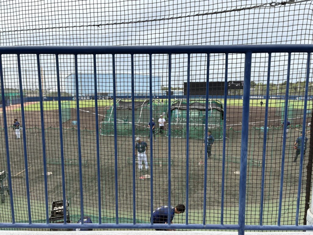 杉本商事バファローズスタジアム舞洲の最前列の柵