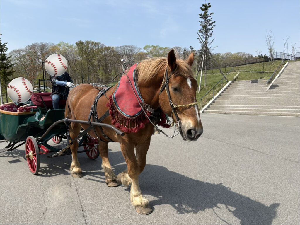 エスコン馬車