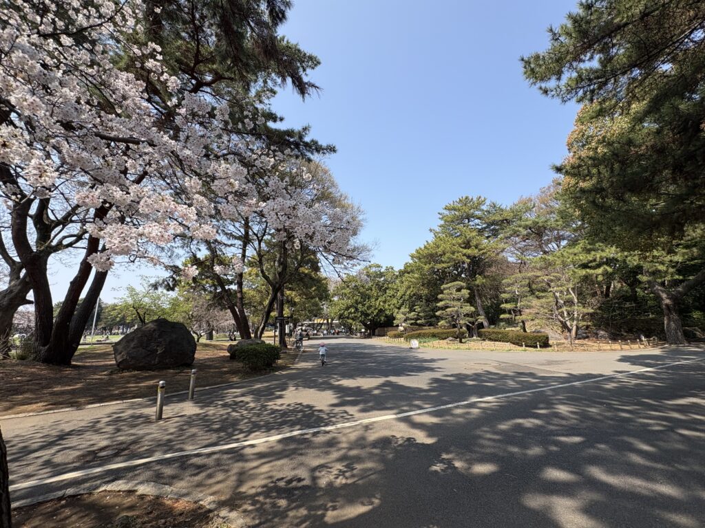 平塚総合公園