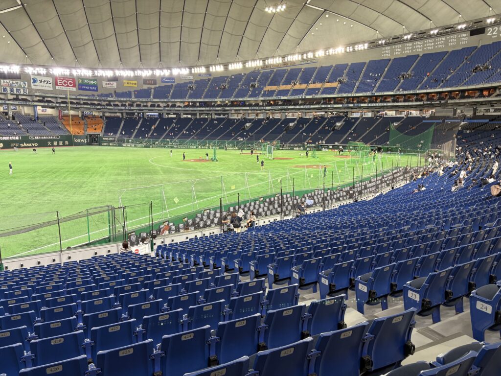 東京ドームの内野